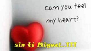 M0sc@s en l@ casa - Shakira