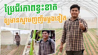 សាកល្បងក្នុងការកែប្រែជិវភាពដោយធ្វើដំណាំក្នុងផ្ទះសំណាញ់ប្រើជីកំប៉ុស្តិ៍ជប៉ុនមីដូរី