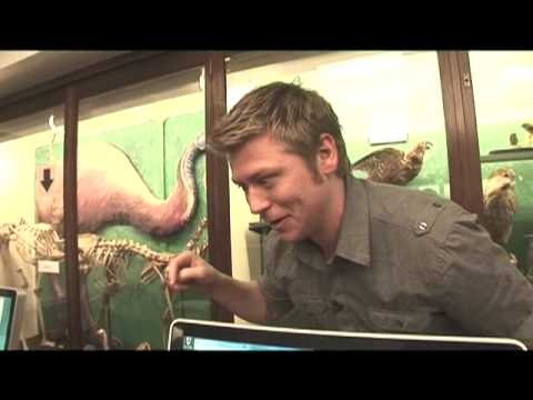 Zebrafish - Incredible Science 2009