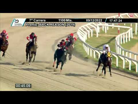 221209 c07 - SUSTITUTO DEL SABA - HIPODROMO LAS PIEDRAS
