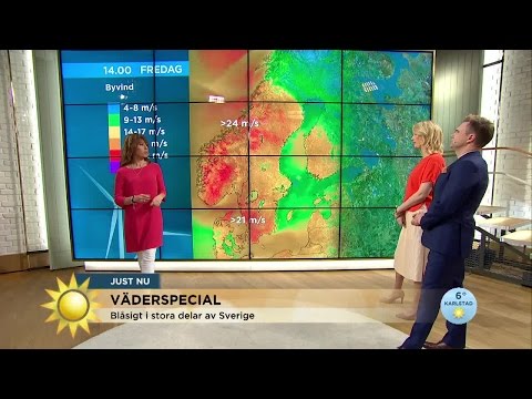 Kraftig blåst i landet: ”Går inte att stå upp” - Nyhetsmorgon (TV4)