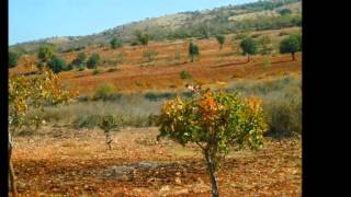 preview picture of video 'adıyaman besni uzunkuyu köyü'