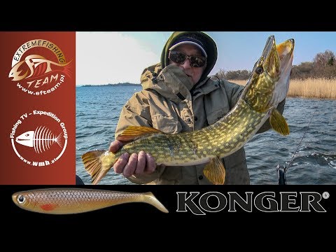Shad Konger Power Pike 17.5cm Spotted Roach