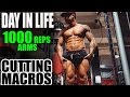 Day in Life Bodybuilder | 1000 Reps Arm Workout | Cutting Meals & Macros