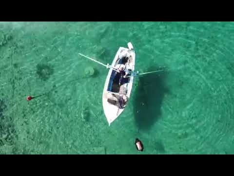 Teaser for Back to the Roots Project