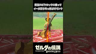 イーガ団を鉄板にビタロックに乗って吹き飛ばすリンク【ゼルダの伝説 ブレス オブ ザ ワイルド】