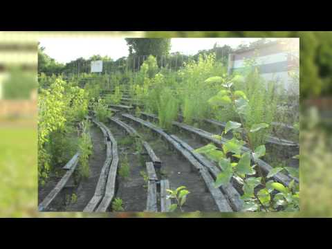 Stadion i baseny Gwardii