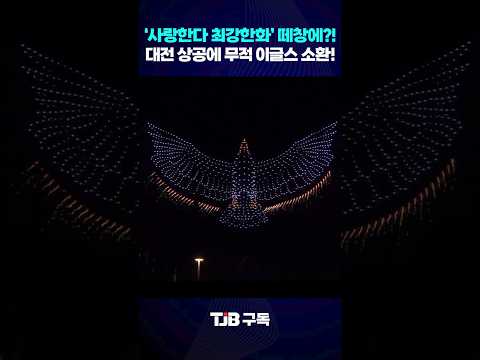 대전 불꽃축제 '사랑한다 최강한화' 떼창에?! 밤하늘에 소환된 '무적 이글스' ｜ TJB 대전·세종·충남뉴스
