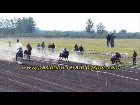 Clasificatorias Polla RDA - LM (17-07-16)