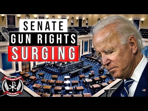 Gun Controller NIGHTMARE unfolding... Gun Rights Senate Candidates are SURGING towards midterms... Thumbnail