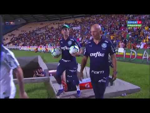 Sampaio Corrêa 0x1 Palmeiras/melhores momentos/Copa do Brasil/ 22/05/2019
