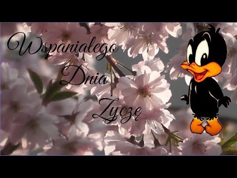 💖🌞Wspaniałego dnia Ci życzę💖Dzień Dobry Miłego Poranku💖Miłego Radosnego Dnia💖Życzenia na dzień dobry