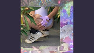 CAGNE VERE Lyrics English Translation