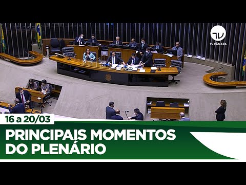 Coronavírus: Câmara aprova decreto de calamidade pública