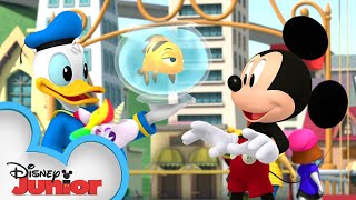 Mickeys Carnival Caper 🎡  Mickey Mouse Hot Digg