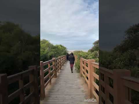 ARARANGUA SC (Morro Dos Coventos) • #beachvibes #shortvideo #araranguá #praia #brazil