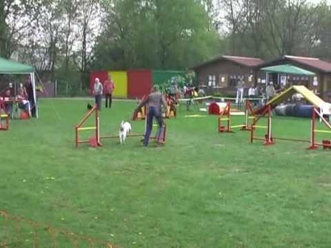 19 04 09 Spiel Christina mit Spike