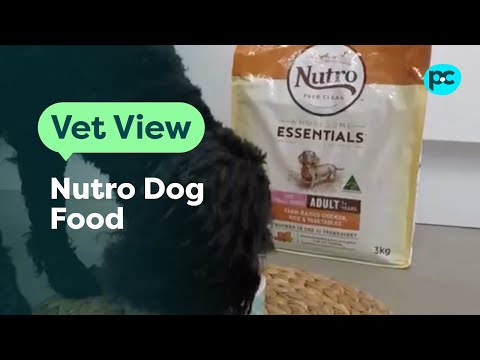 download lagu mp3 mp4 Nutro Max Large Breed Puppy Food, download lagu Nutro Max Large Breed Puppy Food gratis, unduh video klip Nutro Max Large Breed Puppy Food
