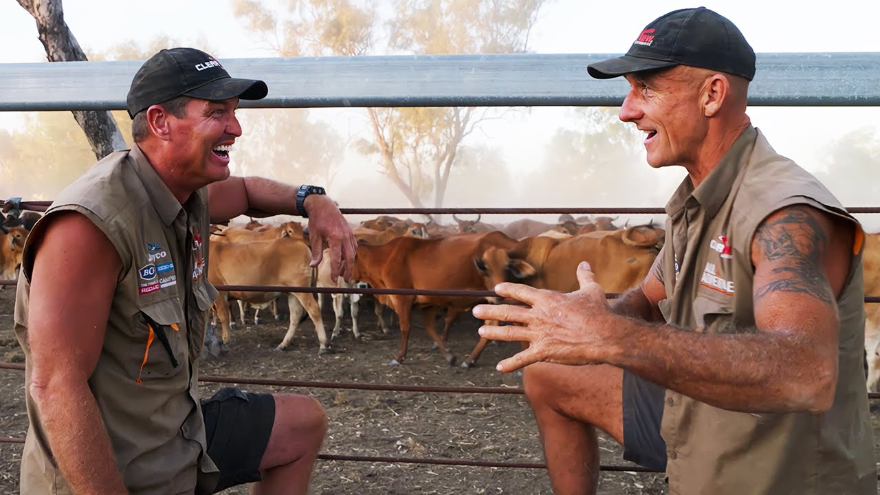 🔥 CATTLE MUSTER in Outback Australia — It's HARD COUNTRY for Hard Men!