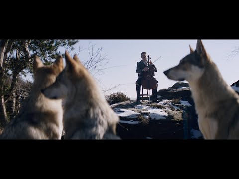 12X CELLO - Jan Zverina: PIRATES - Davy Jones Theme