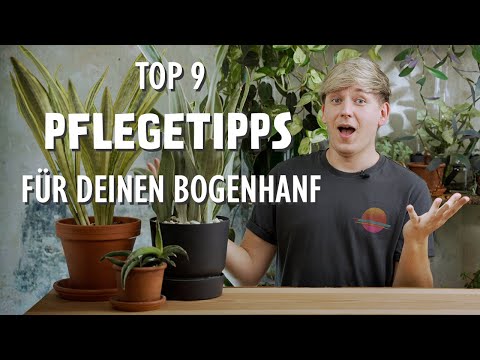 The 9 BEST care tips for your snake plant 🪴