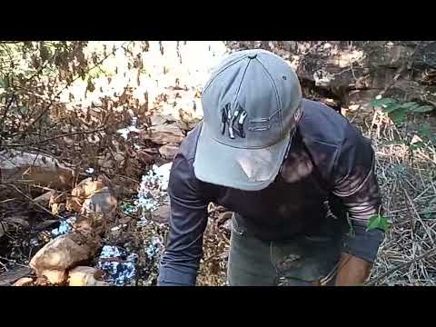 Meu labor continua, labor de reflorestar a Fonte Grande de Hidrolândia-Uibaí-Bahia.