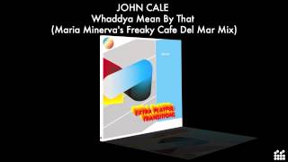 Maria Minerva - Whaddya Mean By That (Freaky Cafe Del Mar Mix)