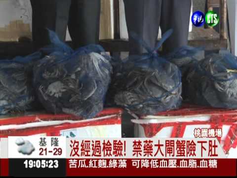 查扣走私陸大閘蟹 市價破300萬