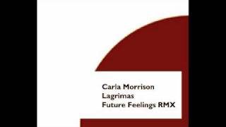 Carla Morrison - lagrimas (future feelings rmx)