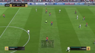 フェスティバル