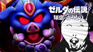 【#18】ゼルダの伝説 知恵のかりもの初見辛口でプレェイ【実況プレイ】