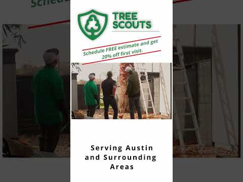 Social Campaign — Tree Scouts