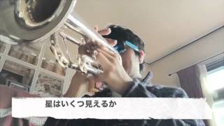 [歌詞あり]「365日の紙飛行機」トランペットで吹いてみました [AKB48]