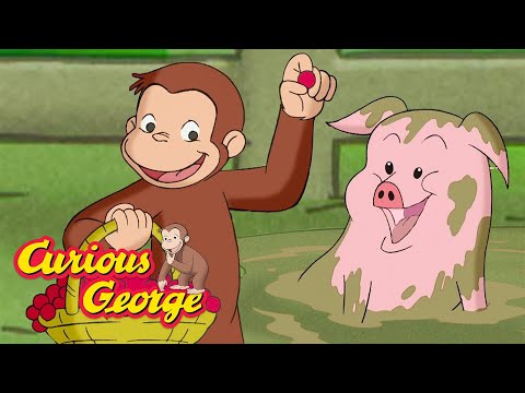 Look After the Farm! 🐵 Curious George 🐵 Kids Cartoon 🐵 Kids Movies