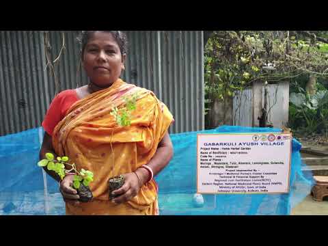 Quality Planting Material of Medicinal Plants under RCFC-ER in West Bengal