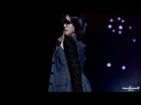 141214 티아라 2nd 팬미팅 CRYCRY 은정(t-ara eunjung) 직캠