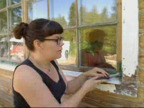 Trennenior: fönsterrenovering del 1