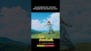 බඹර වසන්තේ - මාර්තු 21 වනදා සිට දිවයින පුරා සිනමාහල්වල තිරගත වේ. #love #movie #song