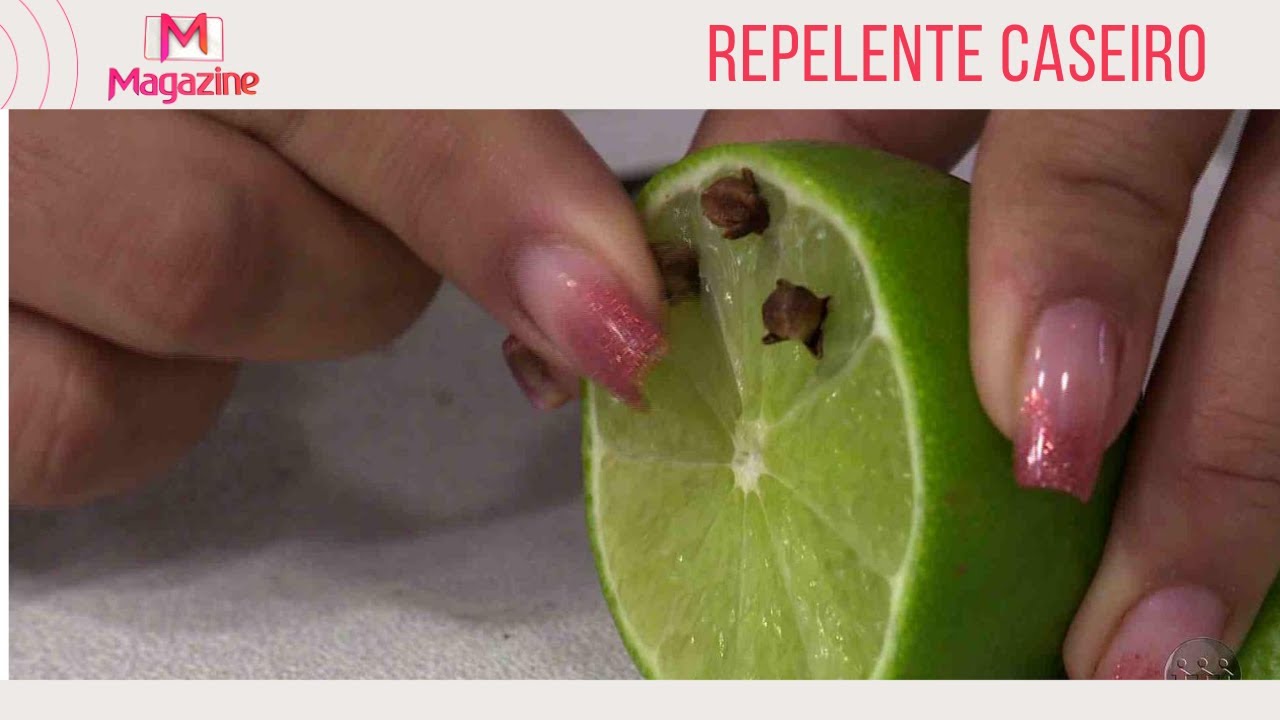 DIY: Como fazer repelente caseiro com limão e cravo