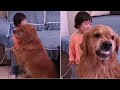 Dog Protects Little Girl From Being Scolded by Her Mother