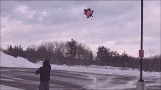 Patang + Gudda Game Montreal Kite club