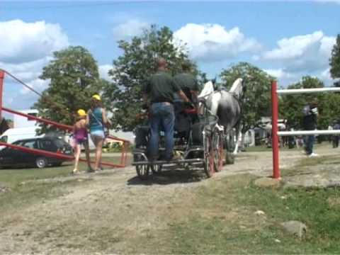 herghelia beclean - hipism 2014