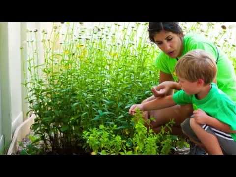 Nevatim-Sprouts Conference 2014