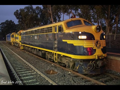 Steamrail's S313 leads SSR's T386 and PN's BL29 on 0082 at Kangaroo Flat- 30/5/19