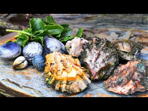 Coastal Foraging - Episode 1 Giant Pacific Oysters and Clams (Home Cook Up)