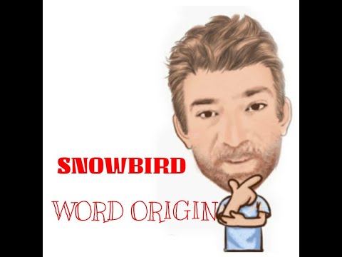 English Tutor Nick  P Word Origins (267) Snowbird