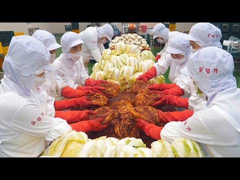 K-FOOD의 진수! 국산재료로 만드는 다양한 김치(배추, 오이, 파, 깻잎) 대량생산 현장 - Mass production of various korean Kimchi