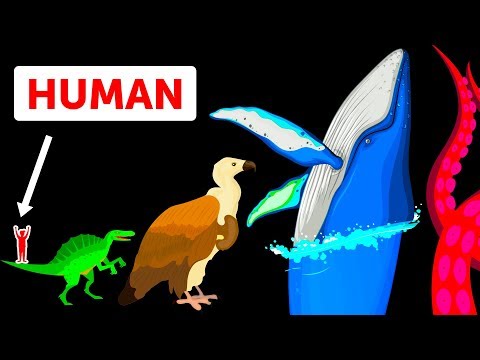 11 Largest Creatures Ever Existed on Earth