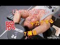 《じぃじの筋トレ》 上腕二頭筋と上腕三頭筋をデカクする為におすすめする7種目!!