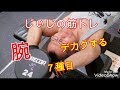 《じぃじの筋トレ》　上腕二頭筋と上腕三頭筋をデカクする為におすすめする７種目！！